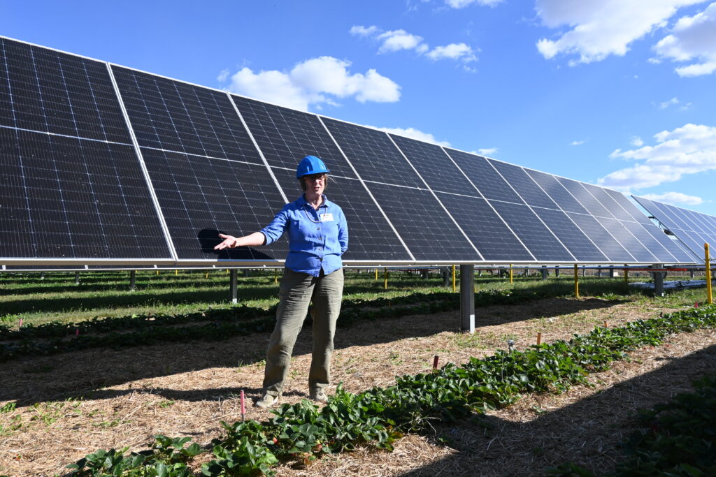 Anne Kimber gives a tour at the ISU/Alliant Energy agrivoltaics site.